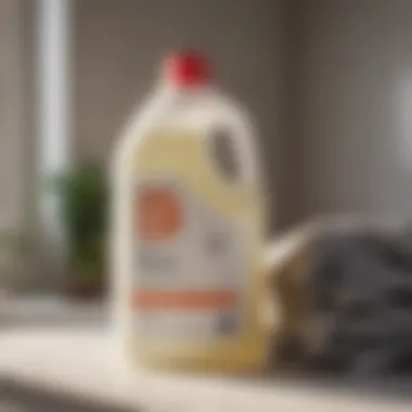 Exploring Eco-Friendly Bleach Alternatives Various eco-friendly alternatives to traditional bleach