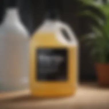 Understanding Bleach: Chemical Composition Chemical structure of bleach highlighting its active components