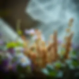 Aromatic herbs known for their scent-repelling properties