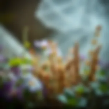 Aromatic Herbs for Pest Deterrence Aromatic herbs known for their scent-repelling properties