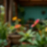 What to Plant in Your Home Garden: A Comprehensive Guide Introduction