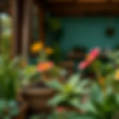 What to Plant in Your Home Garden: A Comprehensive Guide Introduction What to Plant in Your Home Garden: A Comprehensive Guide Introduction